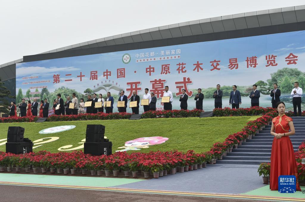 宾利棋牌技巧